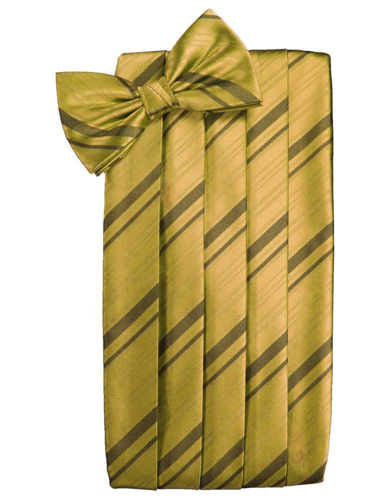 Kids Striped Satin Cummerbund