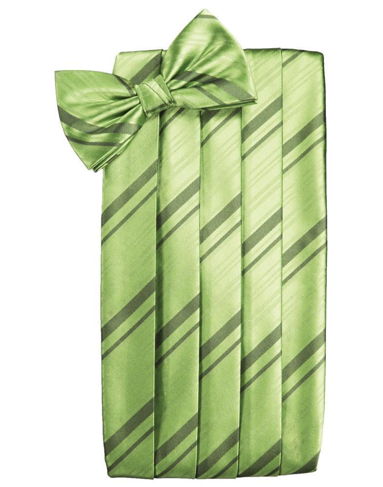 Kids Striped Satin Cummerbund